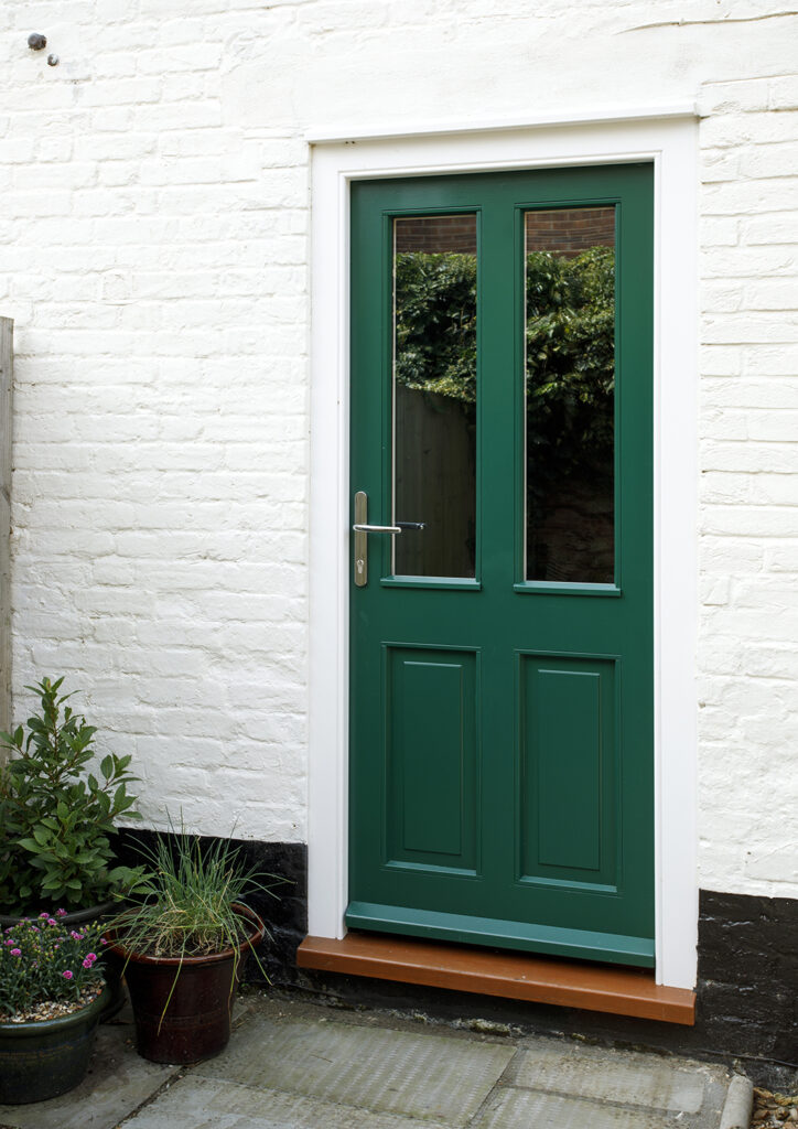 External painted back door